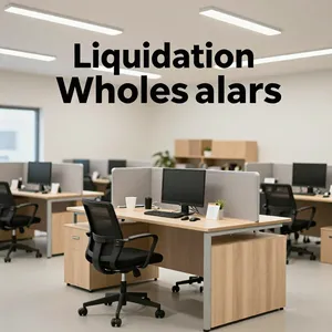 Liquidation & Salvage Wholesalers