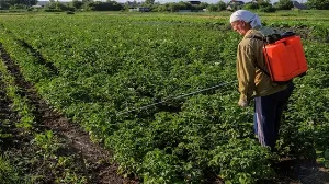 UPL Limited Reports Profit Growth Driven by Strong Demand in Americas