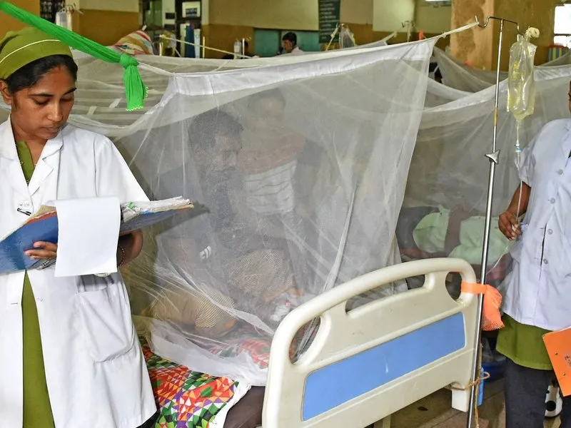 Bangladesh's Dengue Death Toll Surpasses 300 Amid Rising Cases