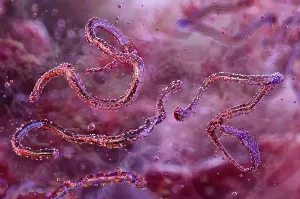 Ethiopia Reports First Outbreak of Marburg Virus Disease