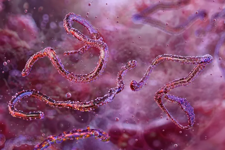 Ethiopia Reports First Outbreak of Marburg Virus Disease