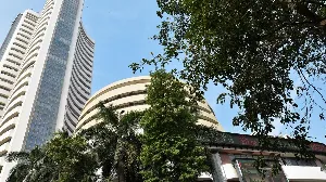 Nifty 50 Surges Past 26,000 Amid Strong Domestic Support