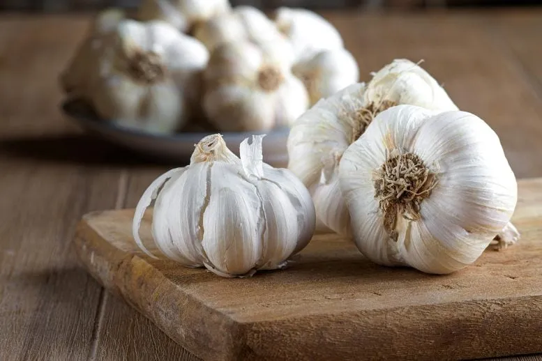 Garlic Extract Proves Effective as Mouthwash, Say Researchers