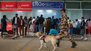IndiGo Faces Government Scrutiny Amid Flight Disruptions