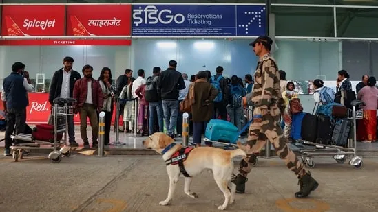 IndiGo Faces Government Scrutiny Amid Flight Disruptions