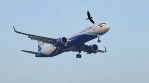 IndiGo Achieves Record Passenger Traffic Amid Operational Challenges