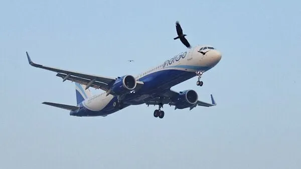 IndiGo Achieves Record Passenger Traffic Amid Operational Challenges