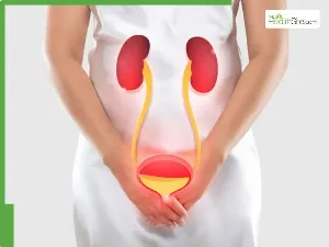 Contaminated Meat Linked to Rise in Urinary Tract Infections