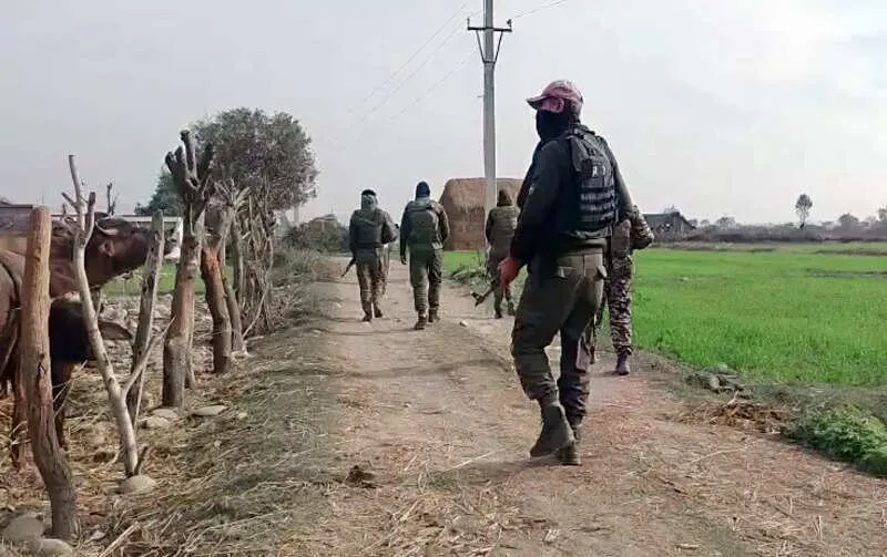 Pakistani Jaish militant killed in Kathua gunfight in Jammu and Kashmir