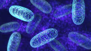 Breakthrough Discovery in MicroRNAs Could Transform Stress Management