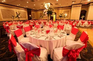 Anti-Corruption Bureau Arrests Official in Jammu and Kashmir Bribery Case