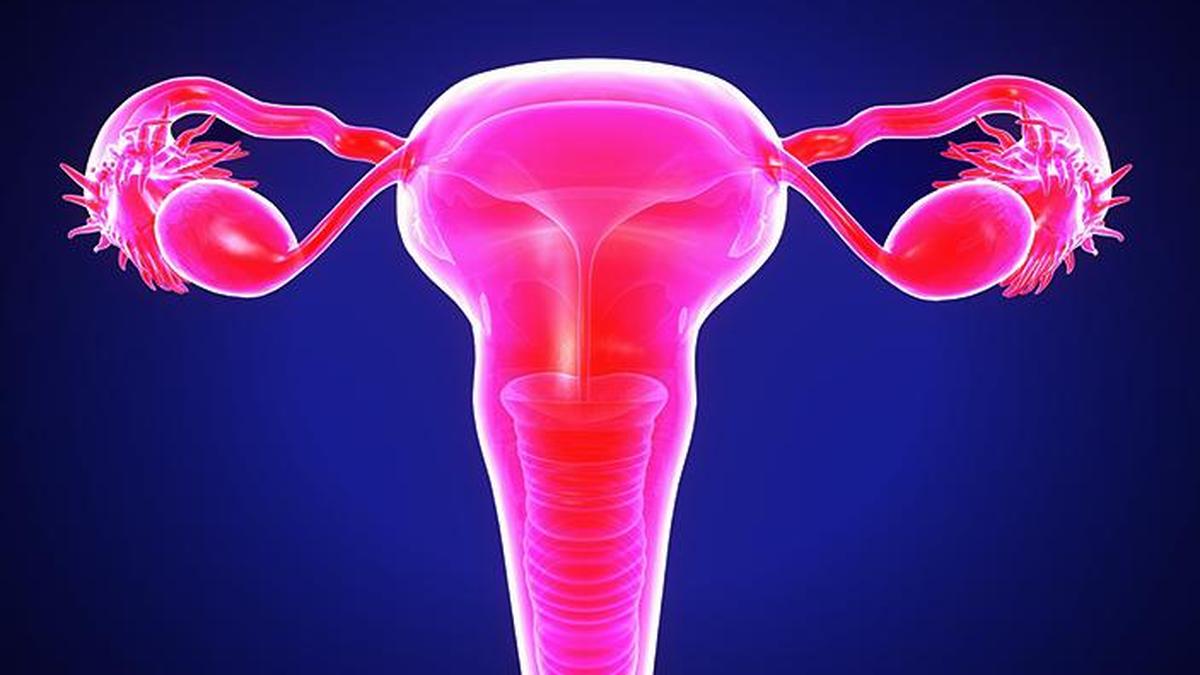 Raising Awareness: The Hidden Challenges of Ovarian Cancer