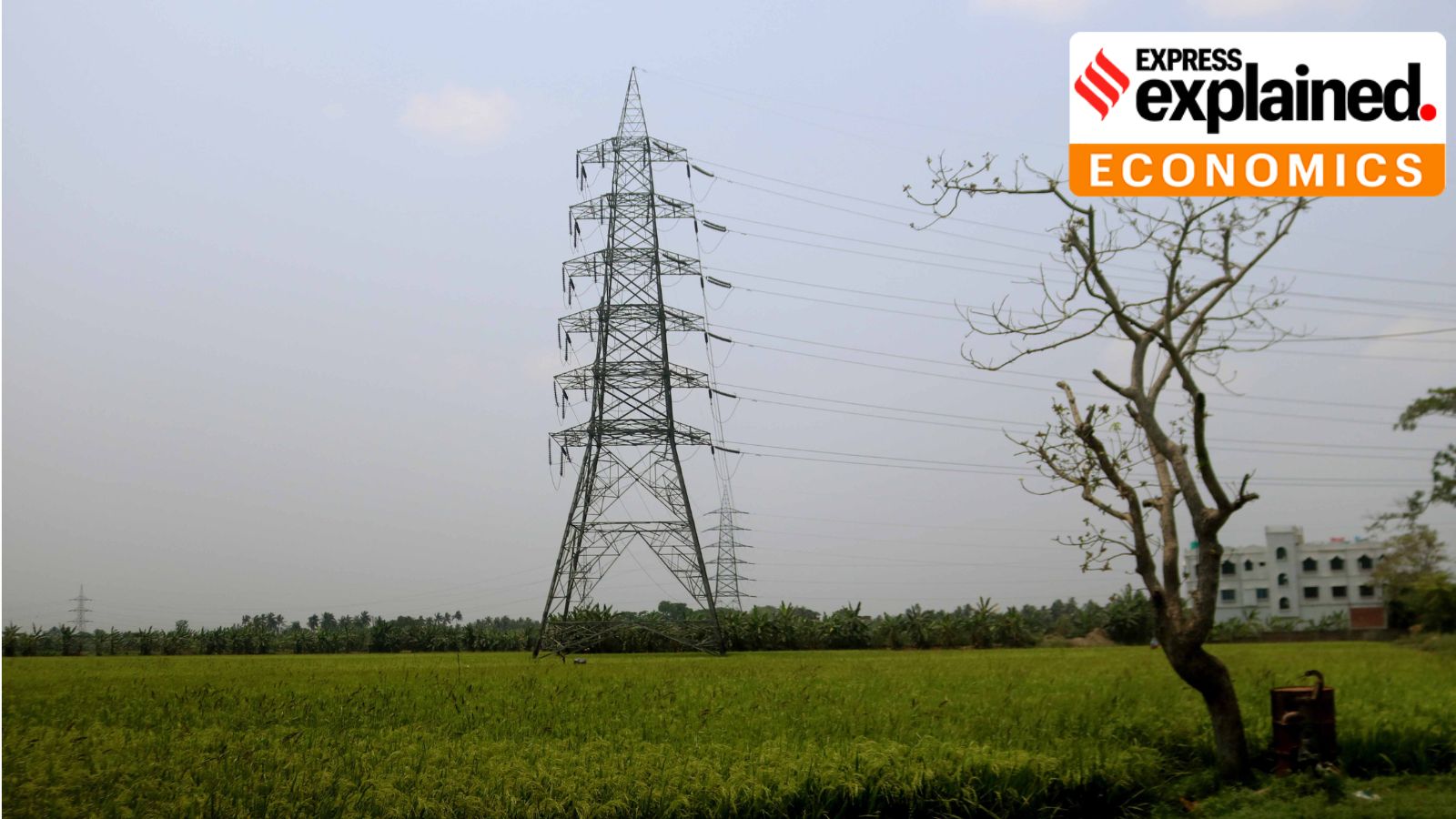 Global Energy Transition: Firms Invest in Sustainable Practices
