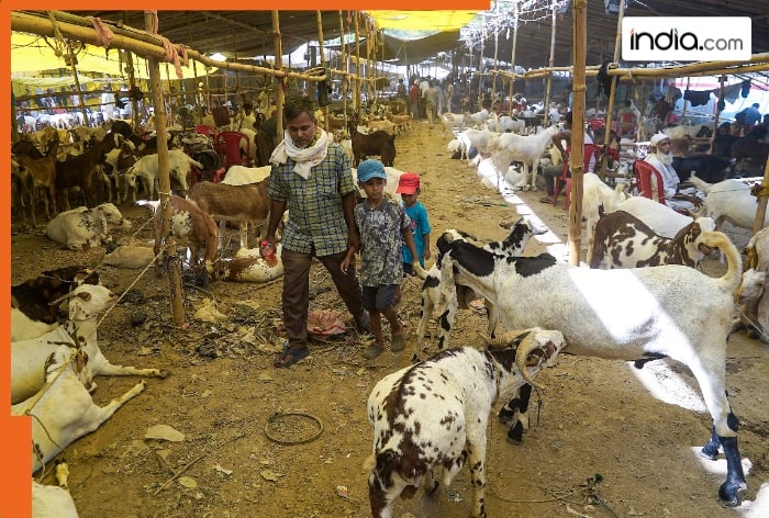 Eid-ul-Azha Holiday Rescheduled for 2026 in India