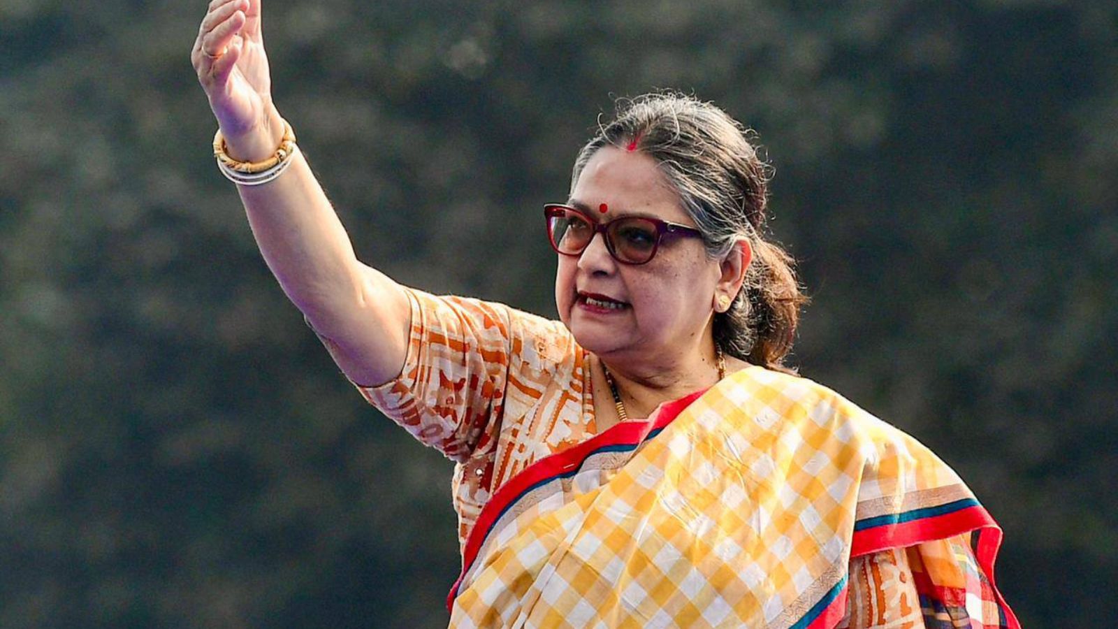 Trinamool Congress MPs Attend Meeting with BJP Leader Amid Strife
