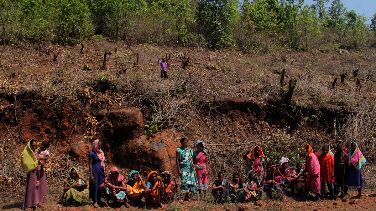 Odisha Government Auctions 11 Mining Blocks Amid Controversy
