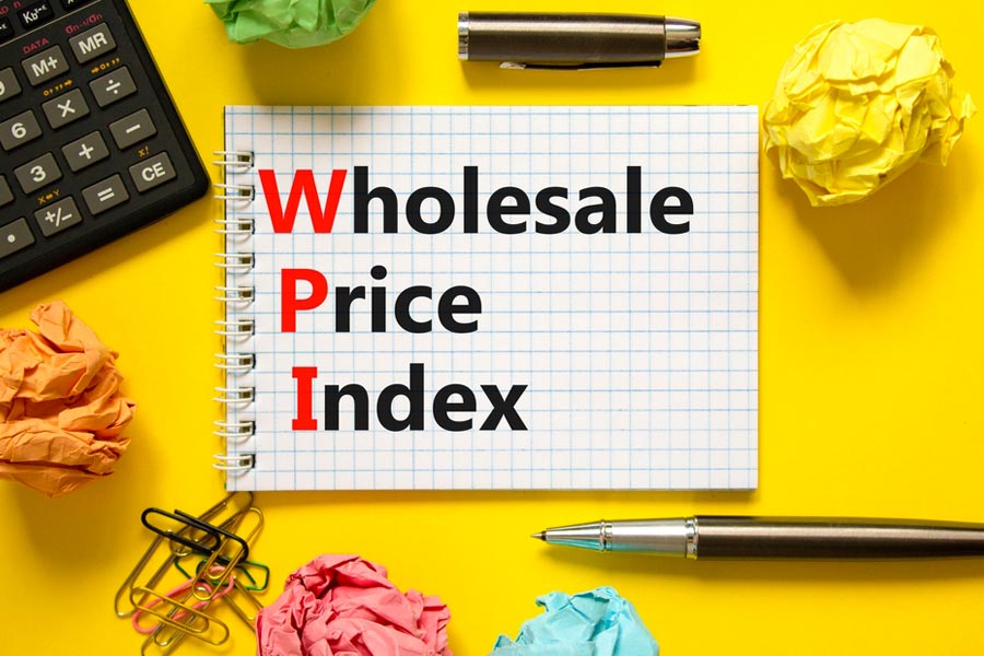 India Introduces Producer Price Index to Replace WPI