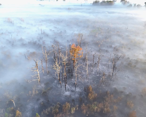 France and Spain Combat Wildfires Amid New Heatwave Threat