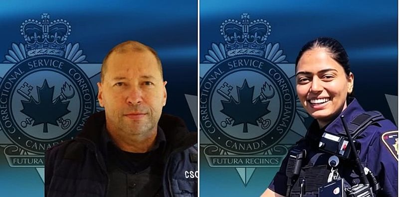 Three Killed in Alberta Traffic Collision Involving Correctional Officers