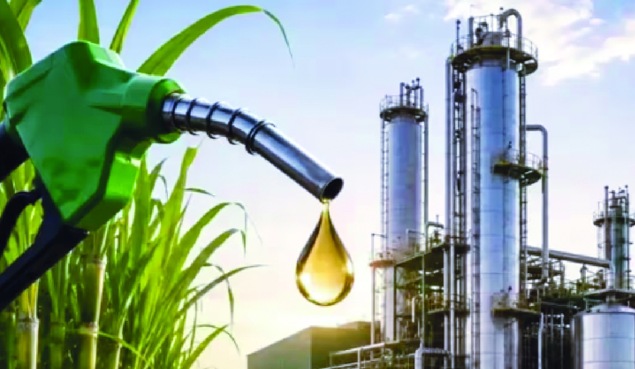 India Ethanol Supplies Exceed 800 Crore Litres in 2025-26