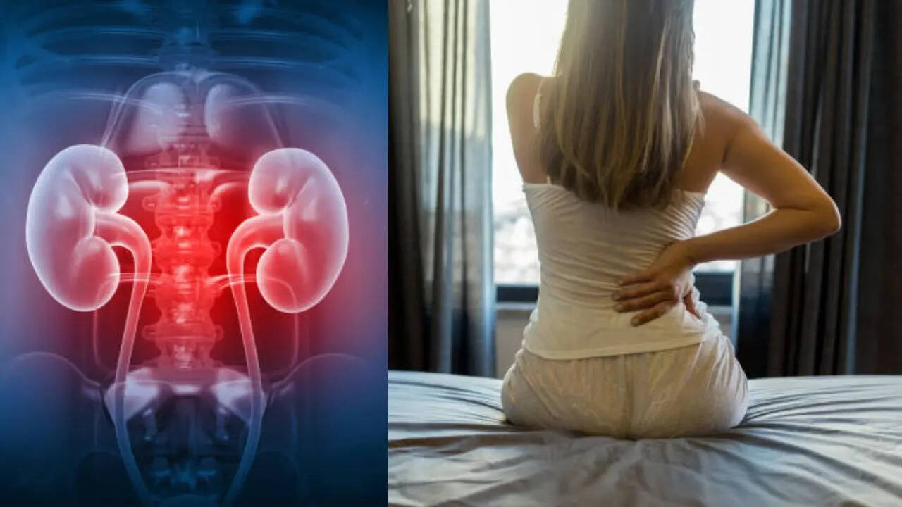 Everyday Habits That Could Undermine Kidney Health Revealed