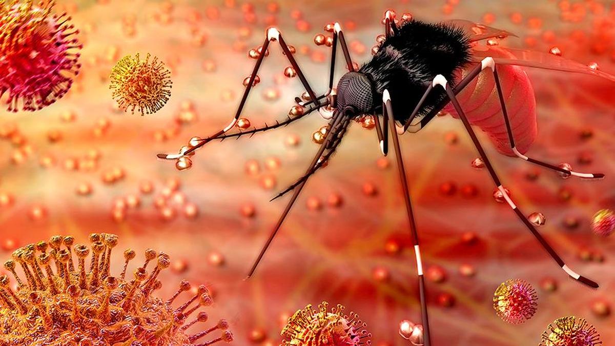 World Mosquito Day Highlights Urgent Need for Awareness and Action