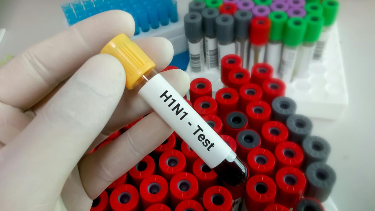 H1N1 Swine Flu Cases Rise in Delhi, No New Strain Confirmed