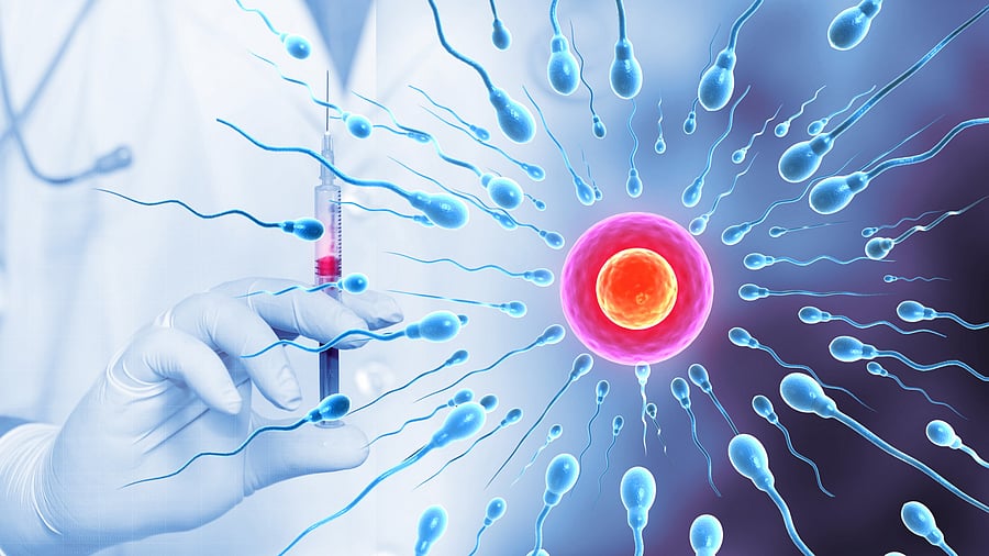 Study Reveals Link Between Semen Bacteria and Pregnancy Success