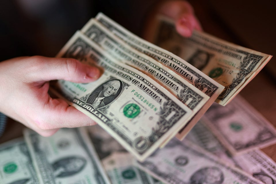Record Foreign Exchange Inflows Strengthen India's Economic Position