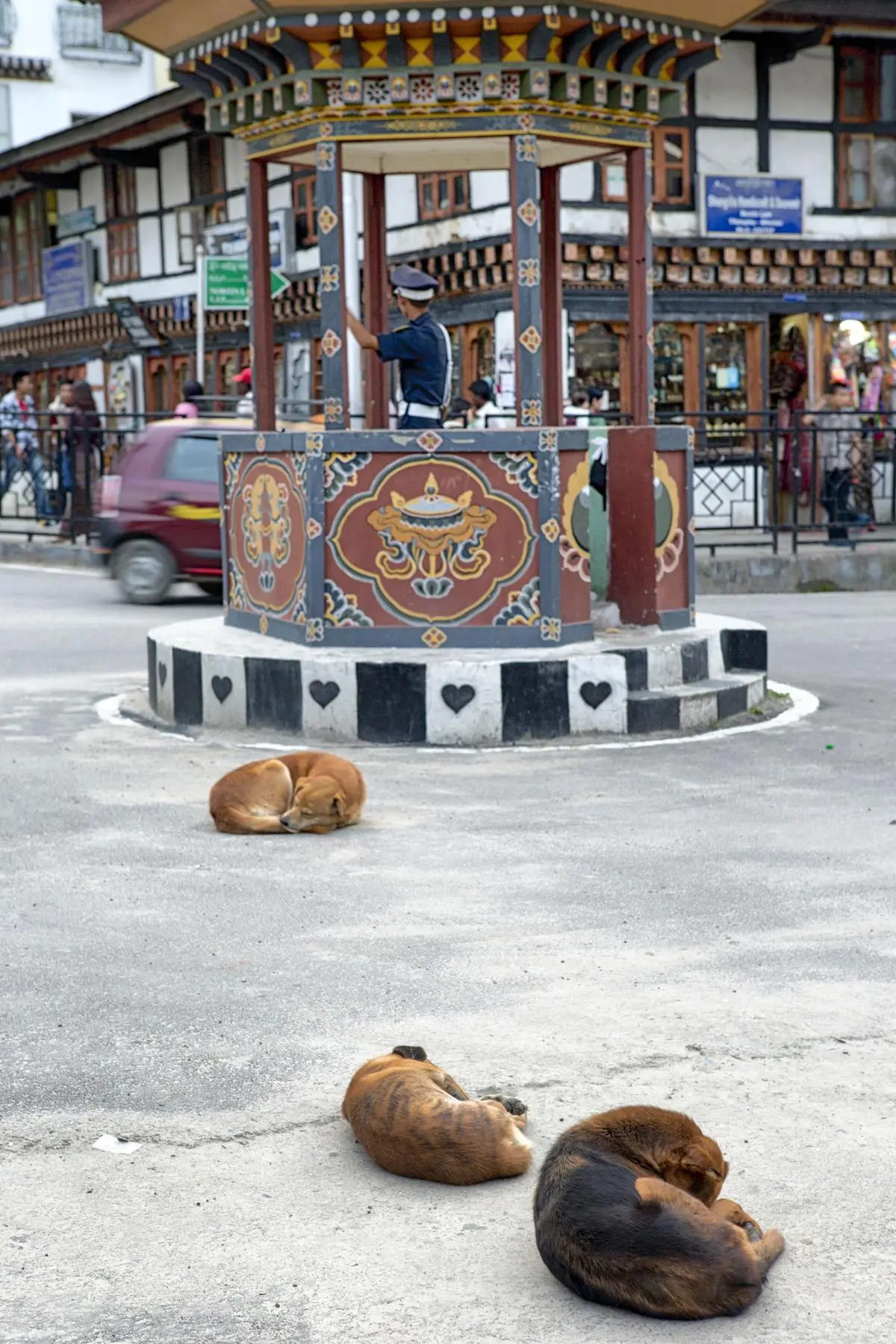 WHO Endorses Bhutan's Achievement in Rabies Elimination