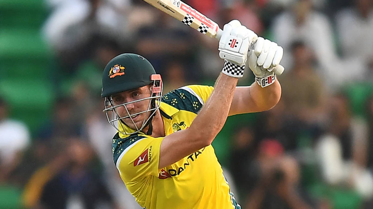 Matthew Renshaw Balances Roles Ahead of African Cricket Tour