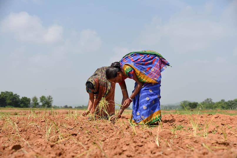 64% of Drought-Affected Talukas Located in Vidarbha and Marathwada