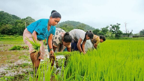 India's Challenge: Attracting Foreign Investment Amid Outflows