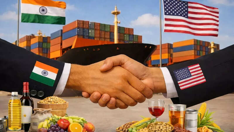 India-US Trade Negotiations Stalled, Says Finance Minister