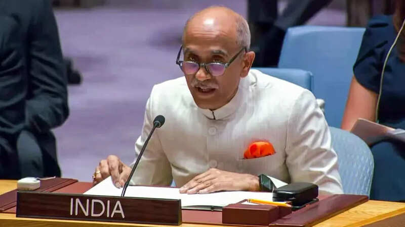 India Advocates for Veto Powers for All UN Security Council Members