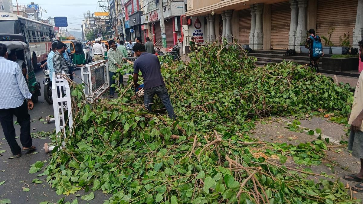 Cyclone Arnab Approaches Andhra Pradesh, Heavy Rainfall Expected