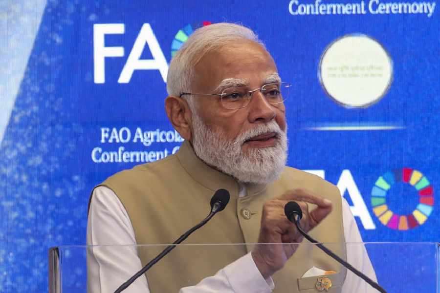India Makes Significant Advances in Poverty Reduction, Says World Bank