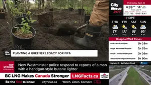 citynews-vancouver's Power Monitor: BC’s Political Crossroads, Global Energy Shocks, and Breaking Crime Updates