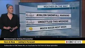 cbc-edmonton's Power Monitor: Political accountability, economic pressures, and sporting triumphs dominate Alberta’s news agenda