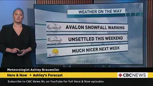 cbc-toronto's Power Monitor: Political accountability, economic strain and sports ambitions dominate April 24 coverage