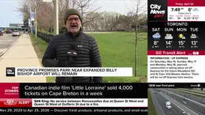 Toronto's Power Monitor: Political Scandals, Economic Shifts, Sports Surge and Crime Alerts Dominate 24 April 2026