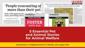 5 Essential Pet and Animal Stories for Animal Welfare Professionals