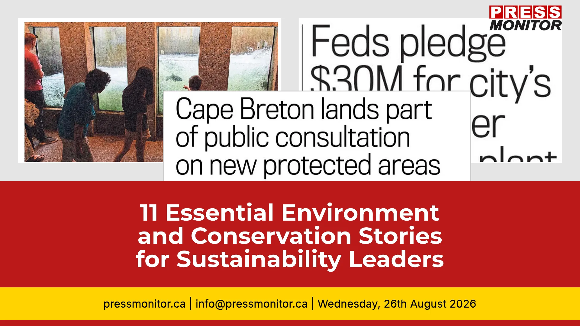 11 Essential Environment and Conservation Stories for Sustainability Leaders