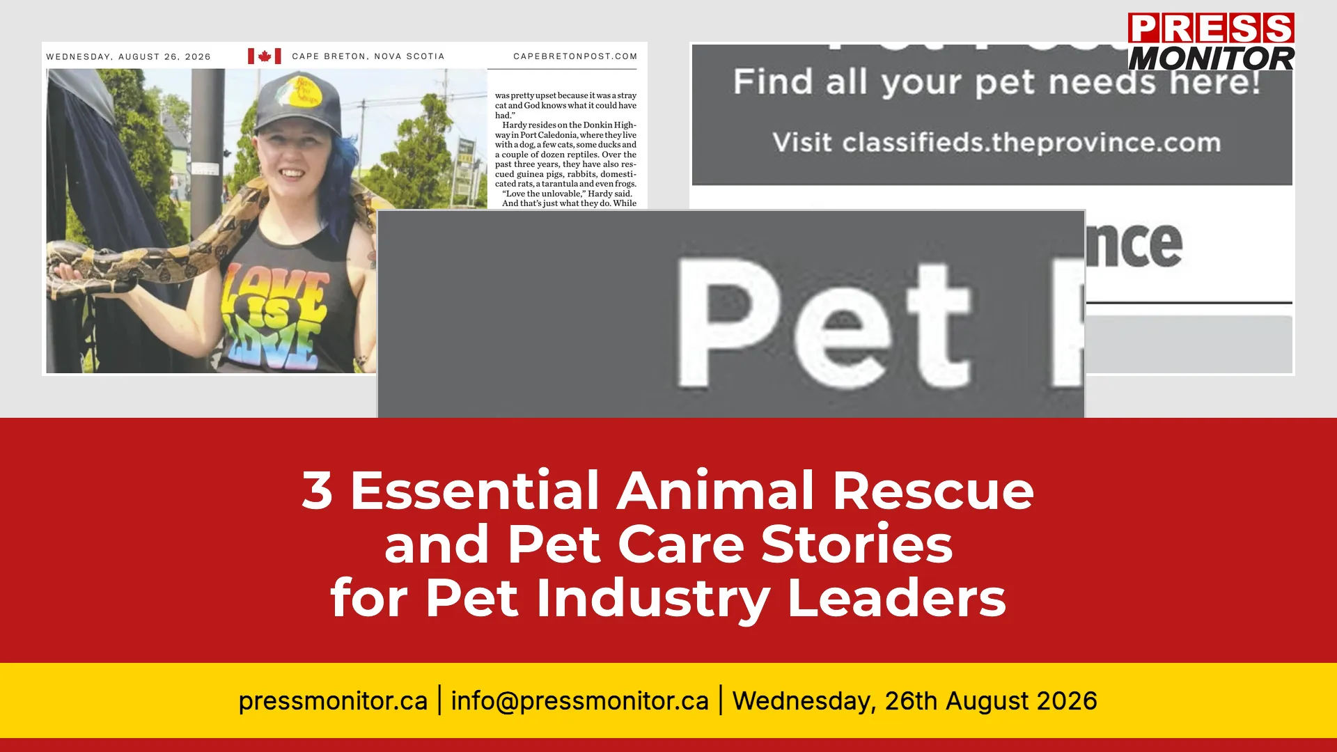 3 Essential Animal Rescue and Pet Care Stories for Pet Industry Leaders