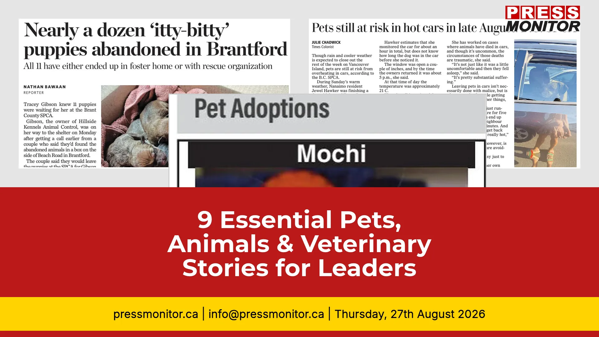 9 Essential Pets, Animals & Veterinary Stories for Pet Industry Leaders