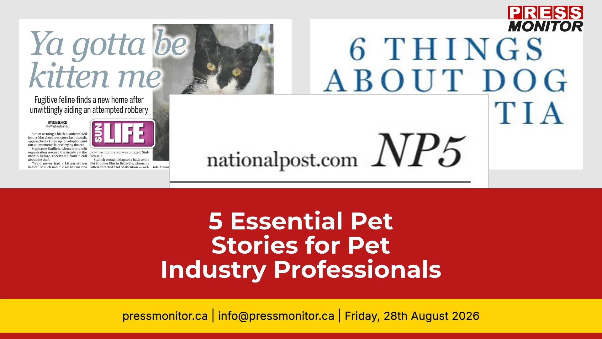 5 Essential Pet Stories for Pet Industry Professionals