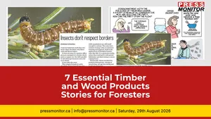 7 Essential Timber and Wood Products Stories for Forestry Professionals