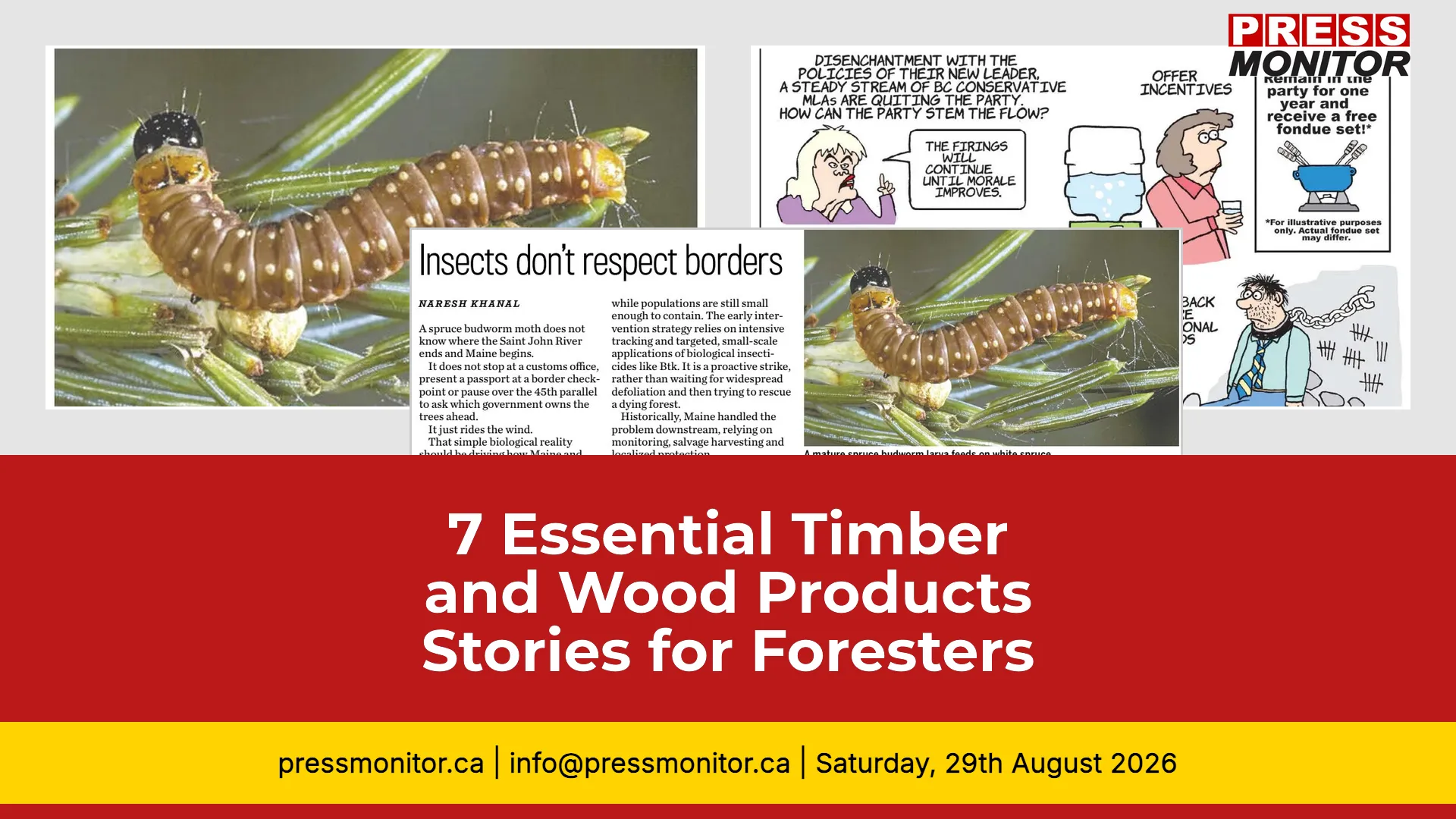 7 Essential Timber and Wood Products Stories for Forestry Professionals
