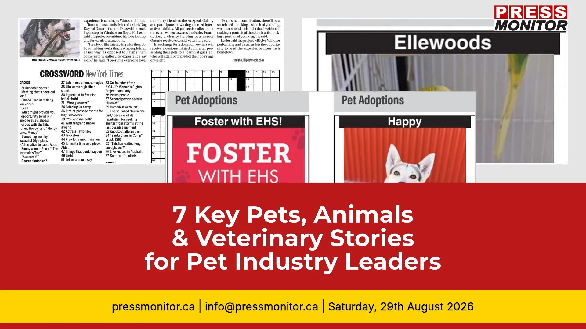 7 Key Pets, Animals & Veterinary Stories for Pet Industry Leaders