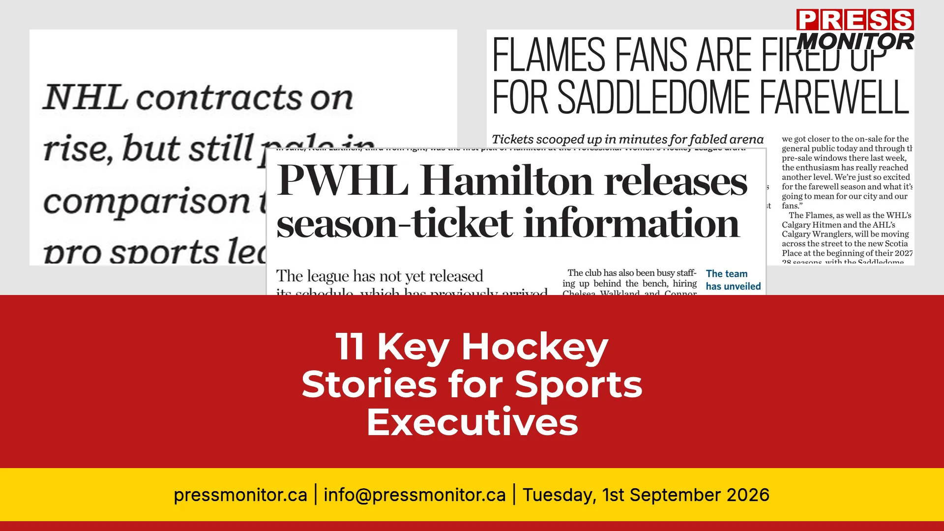11 Key Hockey Stories for Sports Executives